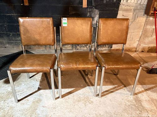 Lot #556 (1 of 14)