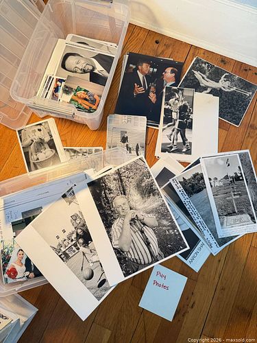 Lot #44 (1 of 9)
