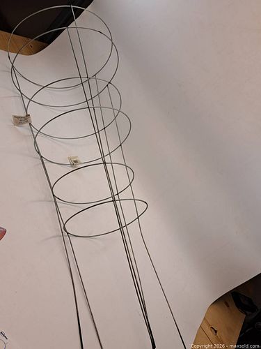 Lot #31 (1 of 3)
