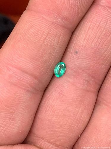Lot #20 (1 of 5)