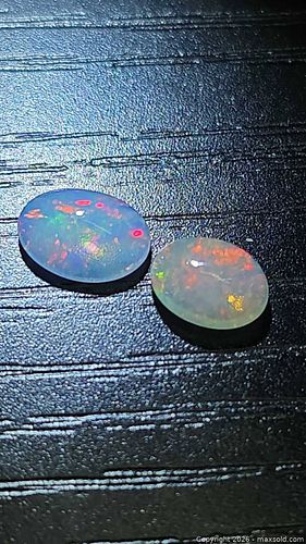 Lot #10 (1 of 6)