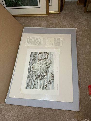 Lot #577 (1 of 8)