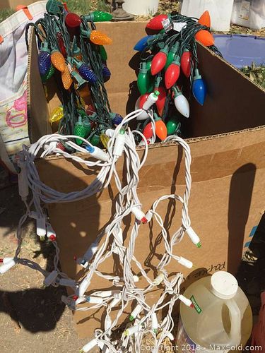 Lot #0023 (1 of 6)
