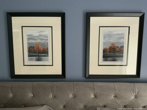 Lot #4 (1 of 3)