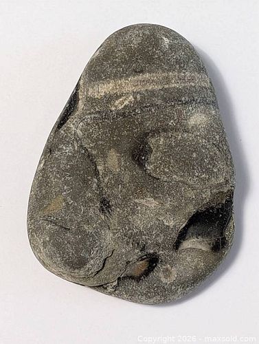 Fossil Limestone Chunk (1 of 9)