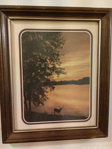 Lot #49 (1 of 3)