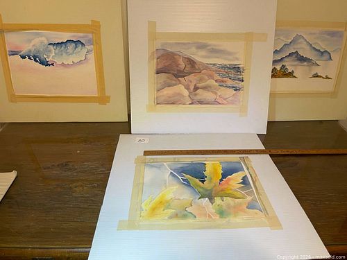 Lot #20 (1 of 8)