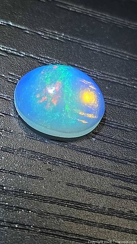 Lot #23 (1 of 7)