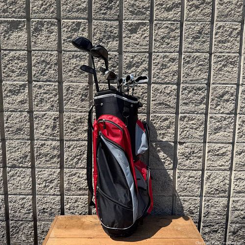 Lot #41 (1 of 12)