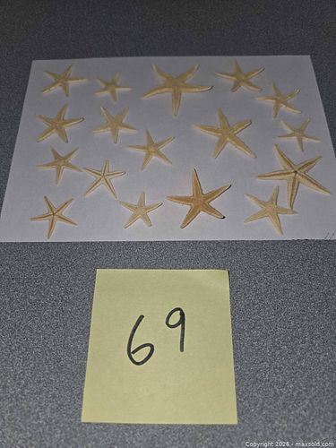 Lot #69 (1 of 3)