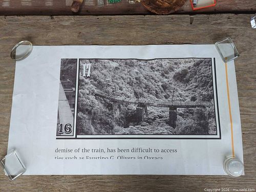 Lot #295 (1 of 3)