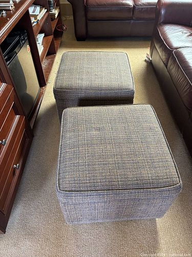 Lot #216 (1 of 9)