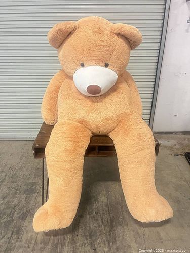 Lot #21 (1 of 5)
