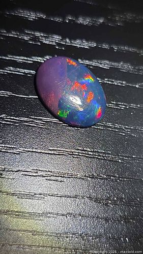 Lot #5 (1 of 15)