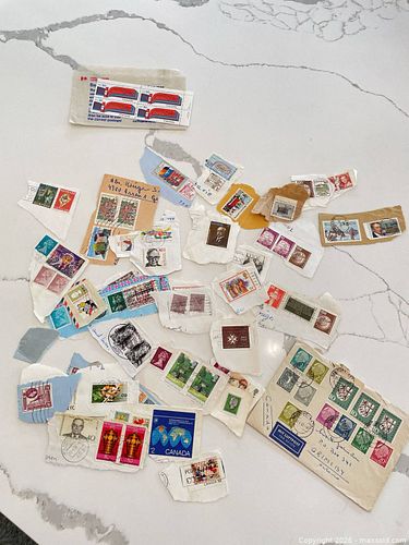 Lot #50 (1 of 10)
