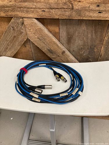 Lot #45 (1 of 4)