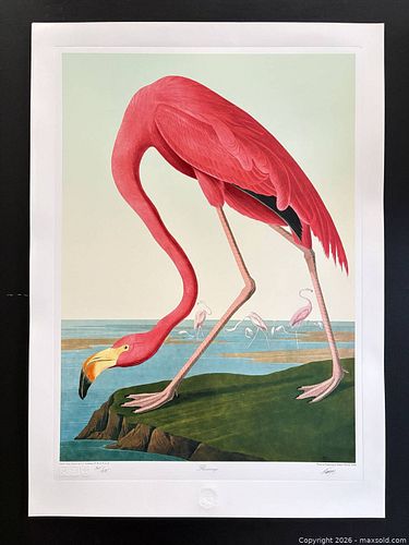Lot #3 (1 of 15)