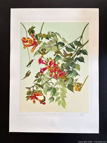Lot #18 (1 of 15)