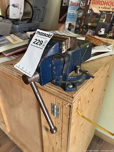 Lot #229 (1 of 10)