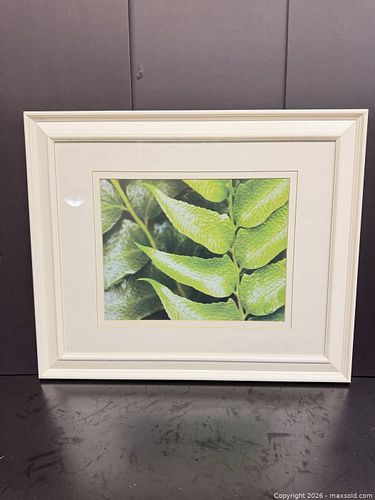 Lot #71 (1 of 1)