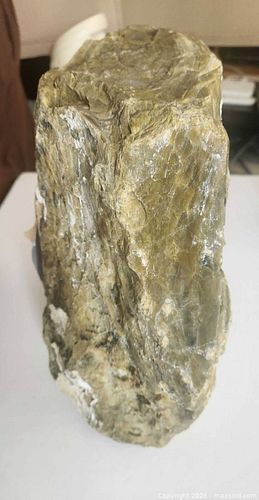 Lot #218 (1 of 8)