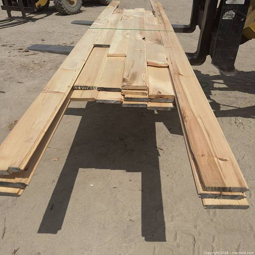 Lot #49 (1 of 5)