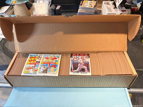 Lot #45 (1 of 5)