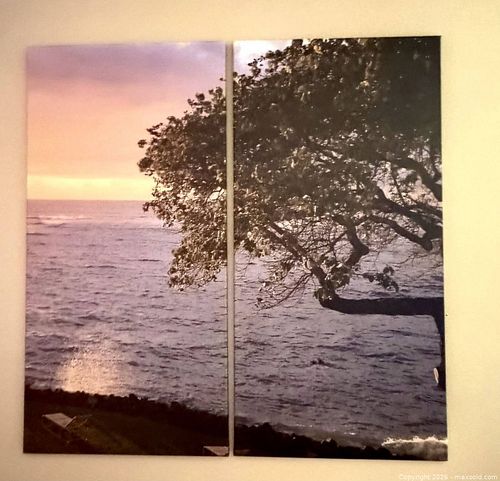 Lot #48 (1 of 5)