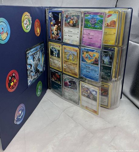 Pokémon Trading Card Binder Collection – 350+ Cards with EX, Holo, Reverse Holo & Japanese (1 of 20)