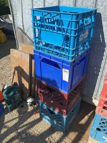 Lot #243 (1 of 5)