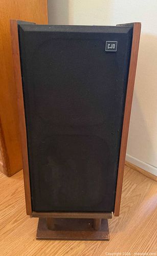 Vintage CJD Floor Speaker (1 of 10)
