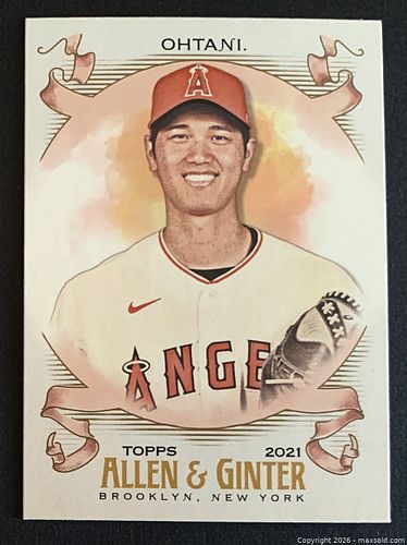 Lot #5 (1 of 2)