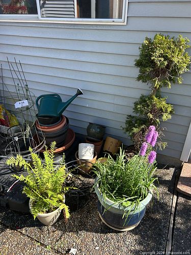 Gardening: Live Plants, Ceramic & Plastic Pots, Plant Hoops (1 of 17)