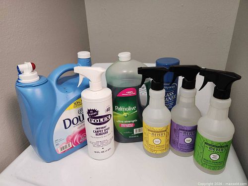 Cleaning Products (1 of 3)