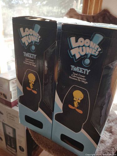 Lot #31 (1 of 3)