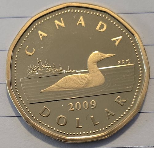 2009 Canada 1 Dollar Brass-Plated Loonie Coin (1 of 2)