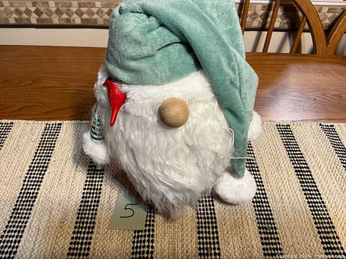A New Christmas Gnome  (1 of 10)