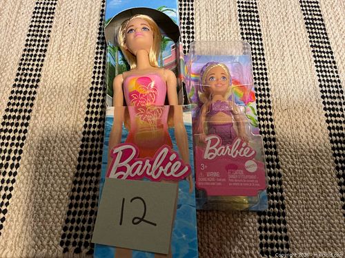 Regular Size and Small Barbies (1 of 7)