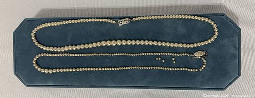 Lot #311 (1 of 2)