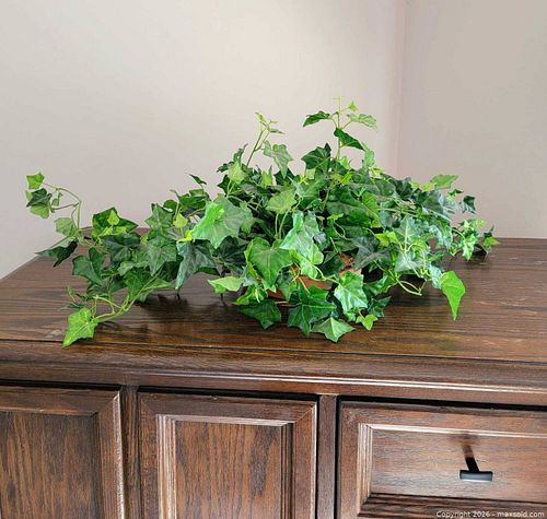 Top quality decorative silk ivy plant  (1 of 2)