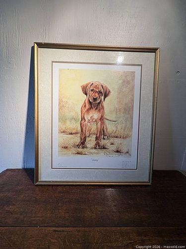 Lot #11 (1 of 6)