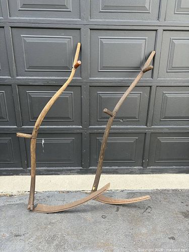 Lot #51 (1 of 5)