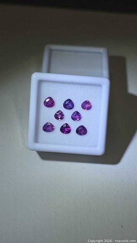 Lot #13 (1 of 11)