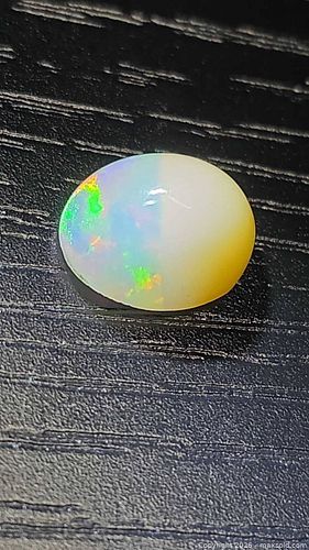 Lot #17 (1 of 15)