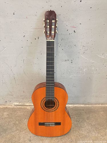 Carcassi c110 Guitar (1 of 3)