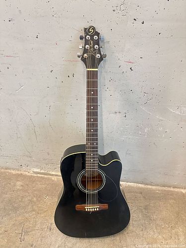Greg Bennett Guitar  (1 of 3)