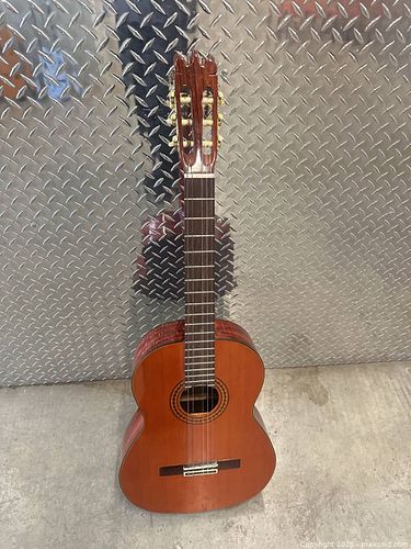 Woneum Class 12 Classical Guitar  (1 of 6)