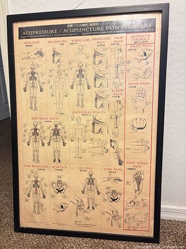 Framed Acupuncture posters  (1 of 8)