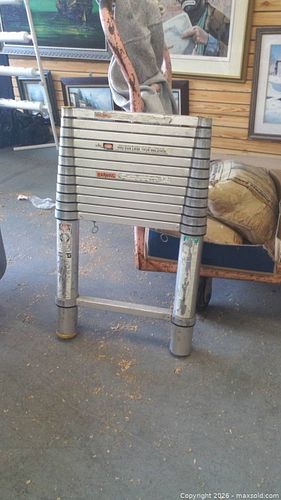 Lot #20 (1 of 3)