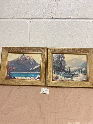 Lot #17 (1 of 6)